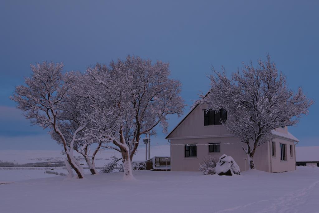 Guesthouse Steindorsstadir, West Iceland Reykholt  Exteriör bild