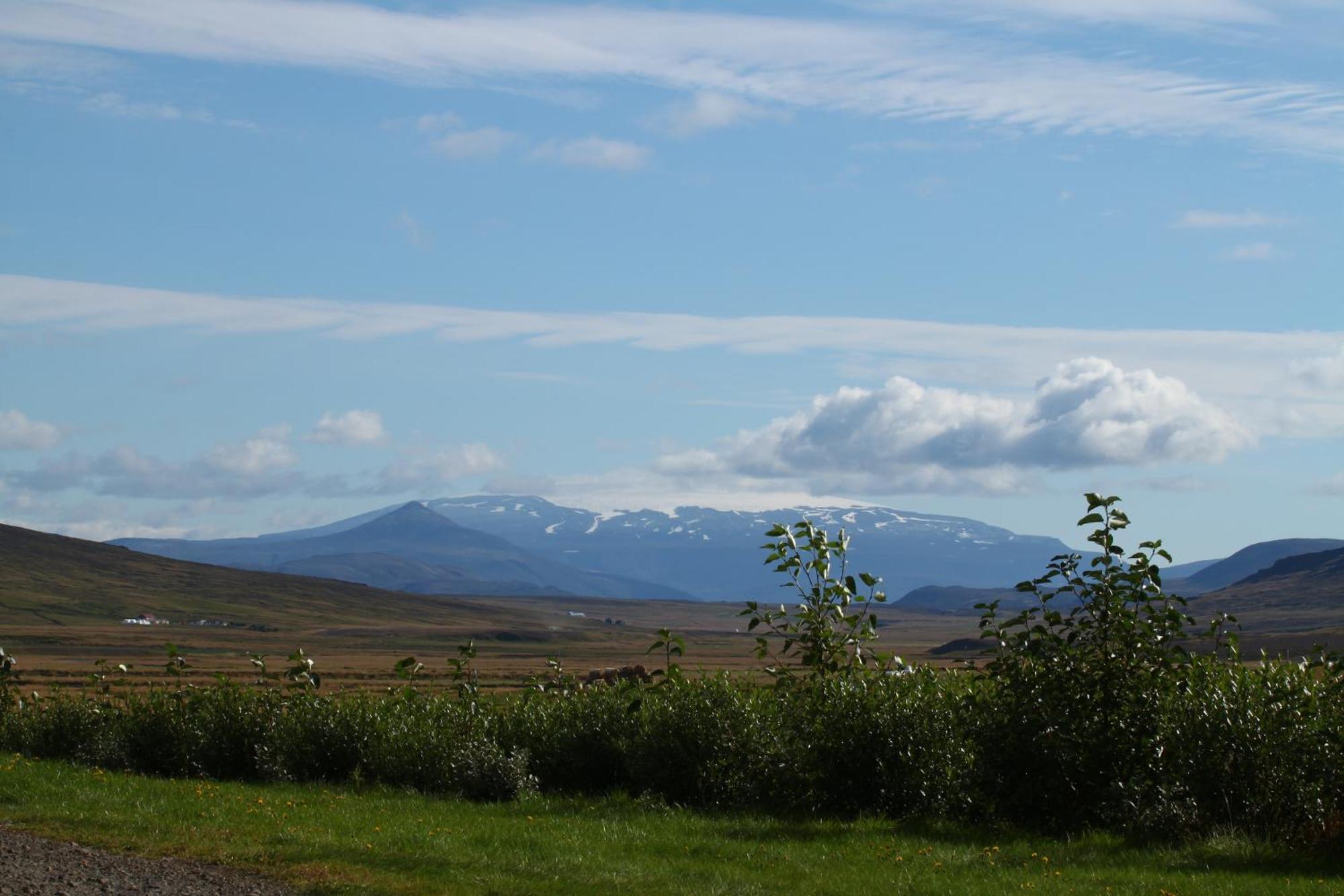 Guesthouse Steindorsstadir, West Iceland Reykholt  Exteriör bild