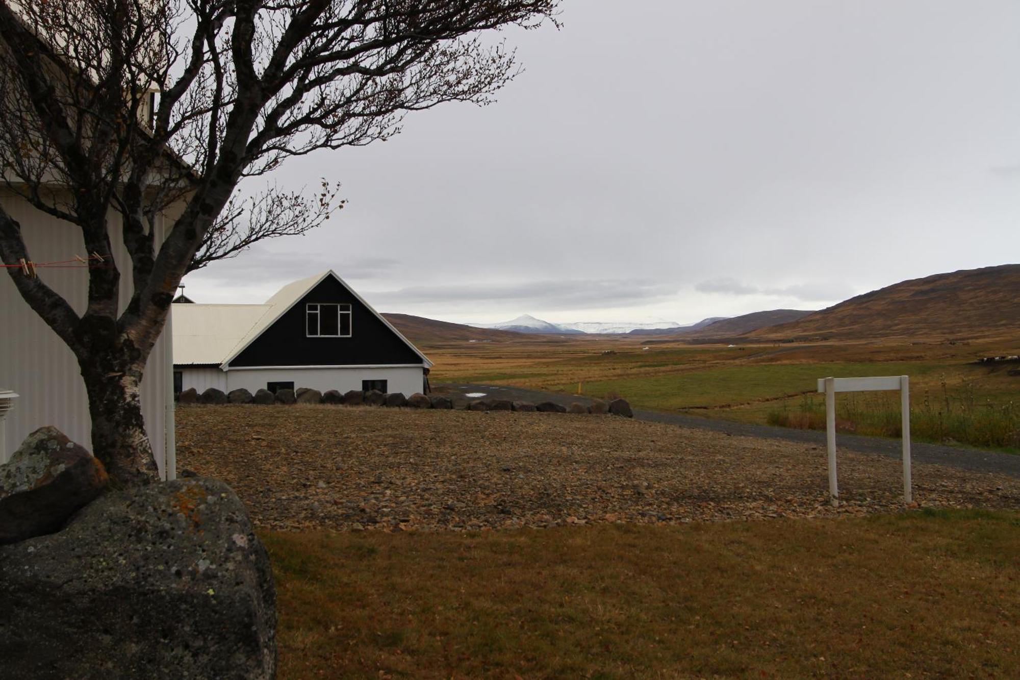 Guesthouse Steindorsstadir, West Iceland Reykholt  Exteriör bild