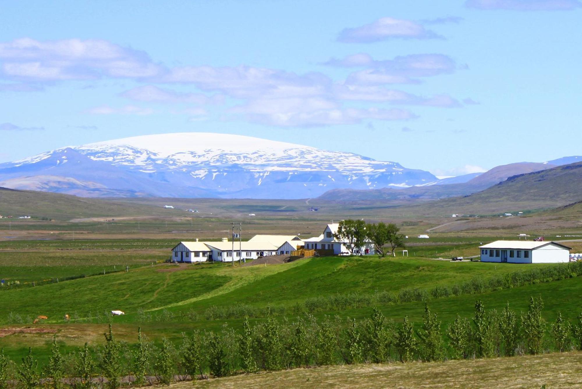 Guesthouse Steindorsstadir, West Iceland Reykholt  Exteriör bild