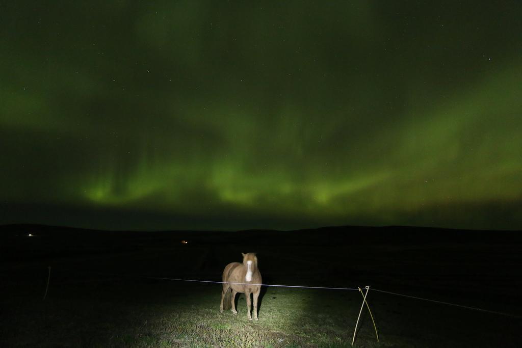 Guesthouse Steindorsstadir, West Iceland Reykholt  Exteriör bild